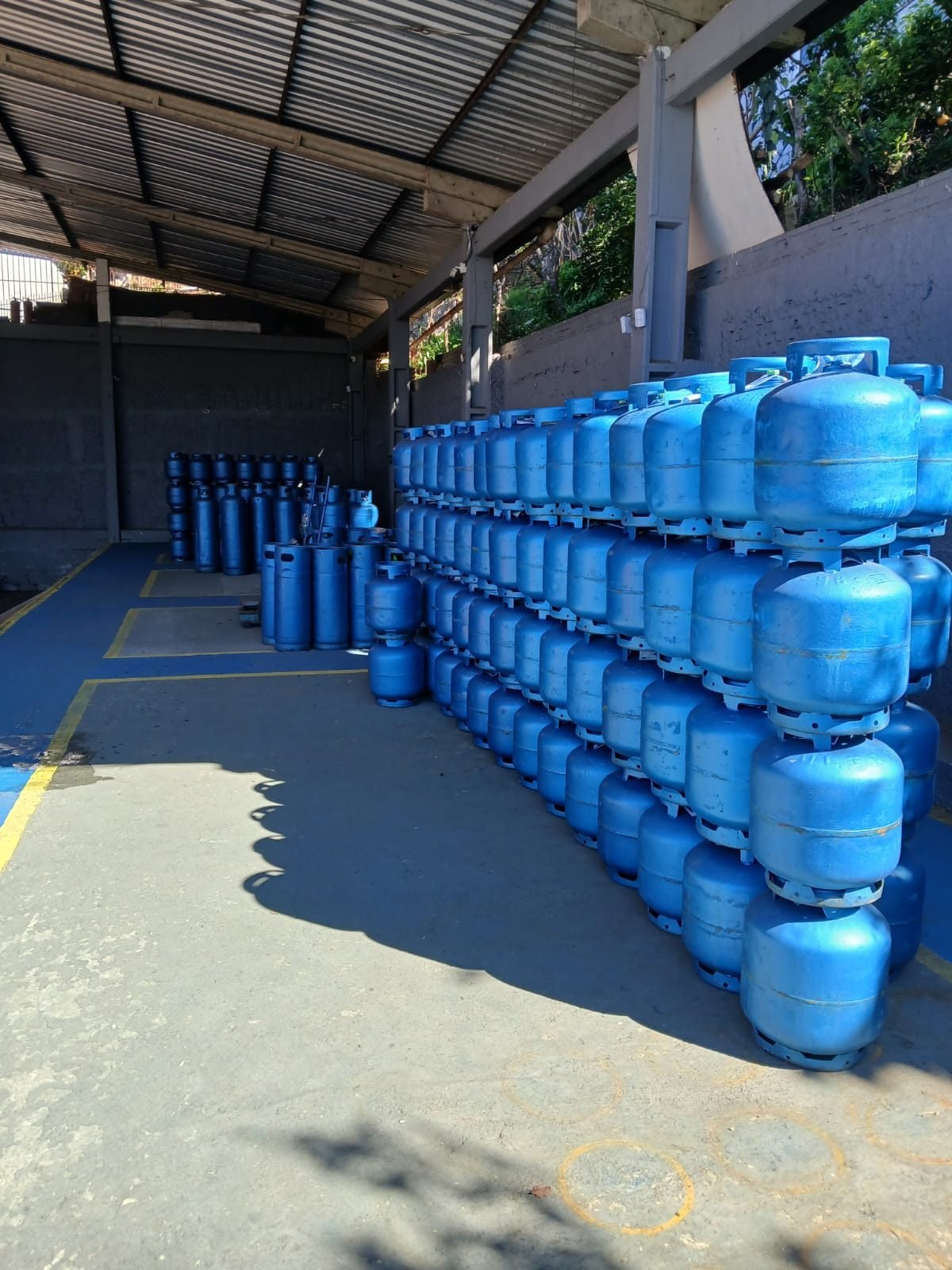 Estoque de botijões de gás organizado no pátio da Dalgas